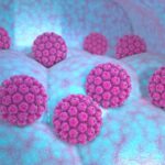 Genital Siğiller, HPV  Enfeksiyonu Genel Bilgiler
